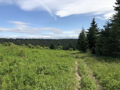 Photo of Homestead Trail - South